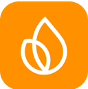 Firebase AccountIconImg